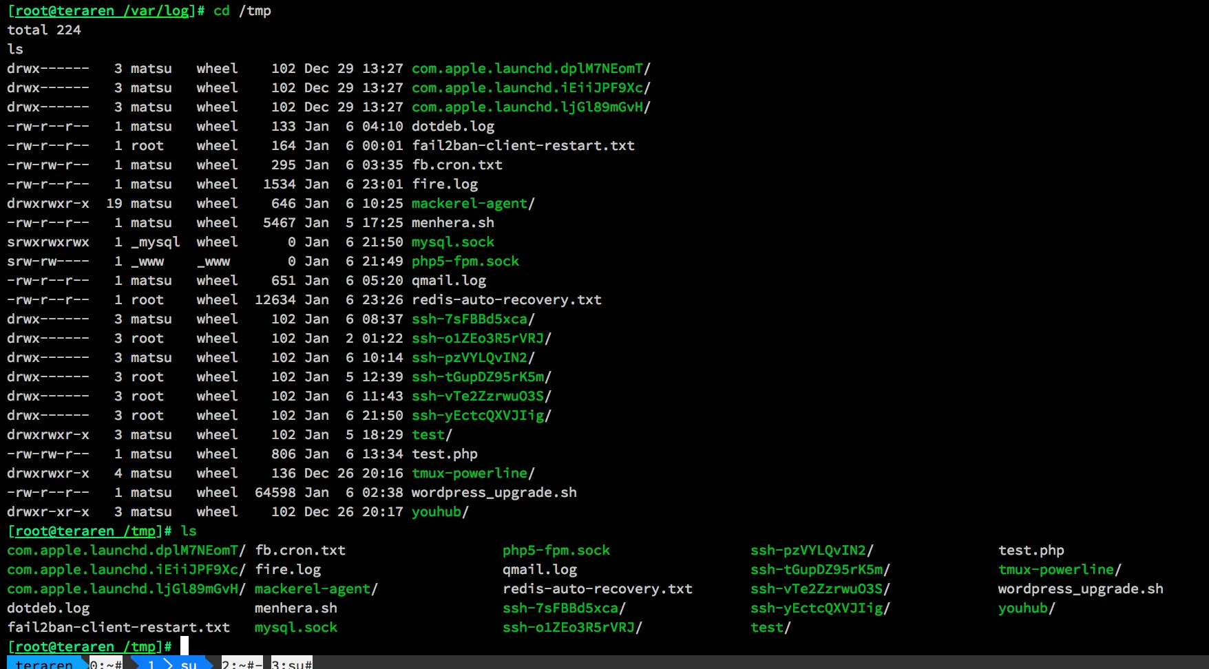 zsh before