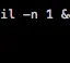 [PHP]変数vs文字列