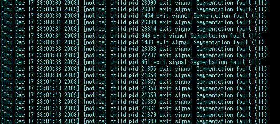 segmentation fault