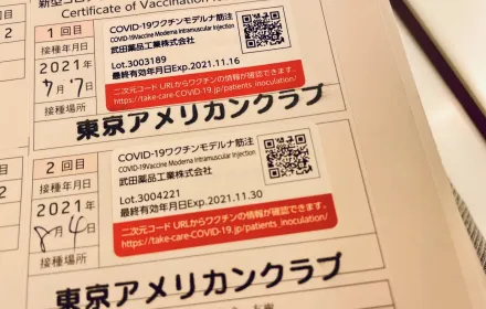 Cover Image of the Post