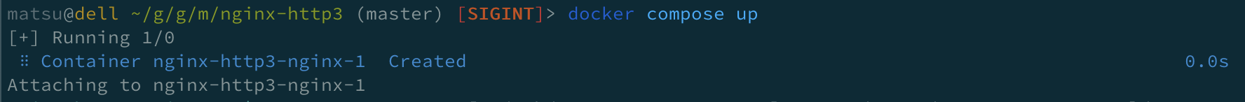 Dockerコンテナ実行ログ