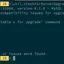 UbuntuでMySQLを8.0.34から8.1.0へアップグレード。Innovation Releaseを使う設定。