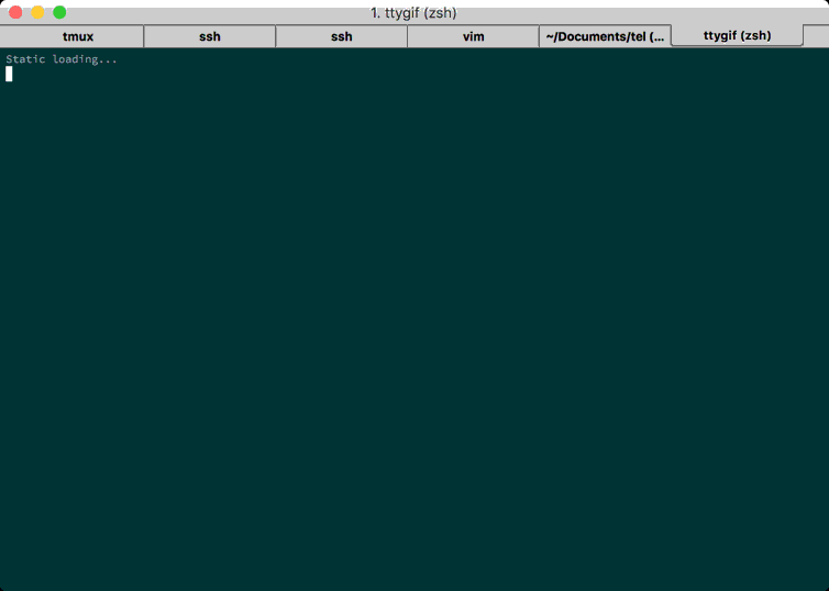 new zsh setting
